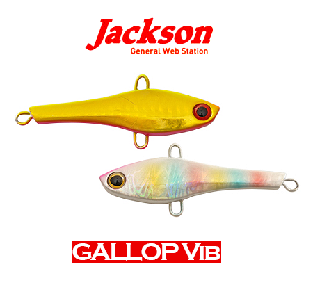 JACKSON GALLOP VIB 65 30g(잭슨 갤럽 바이브 65 30g)
